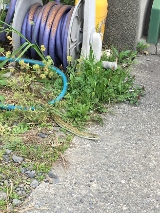 blog2015.04.29_06.jpg