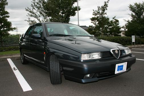 brog155_2.JPG